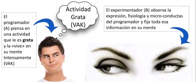 captura-de-pantalla-2016-12-31-a-las-13-02-46